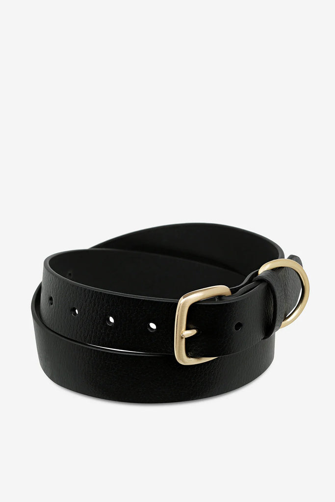STATUS ANXIETY Disarm Belt Black Gold