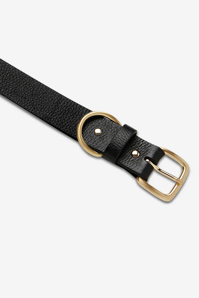 STATUS ANXIETY Disarm Belt Black Gold